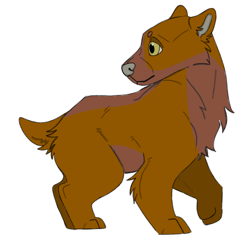 IMG 0127.png