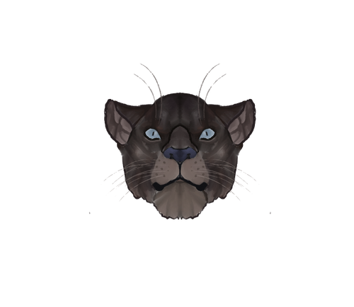 IMG 0136.png