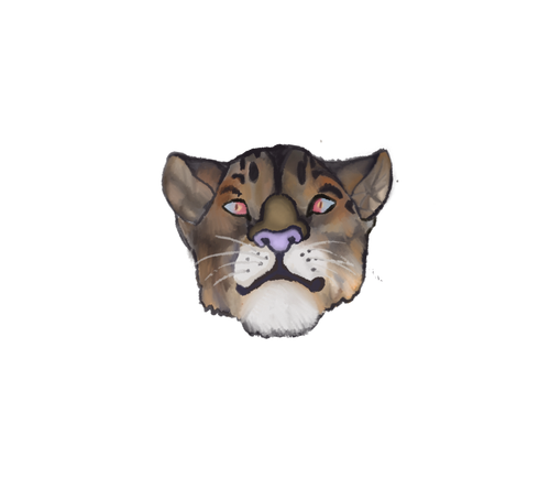 IMG 0137.png