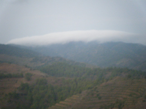 DSCF0041.jpg