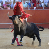noaAsI9.th.jpg