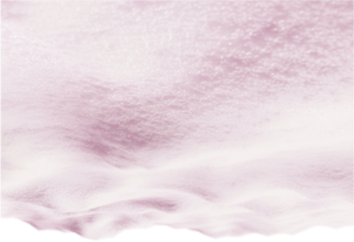 IMG 5696.png