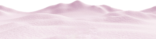 IMG 5695.png