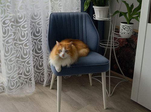 Синий синий (6) 11 1546.jpg