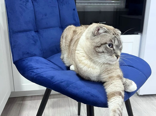 синий синий (12) 11.jpg