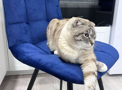 синий синий (12) 11 1546.jpg