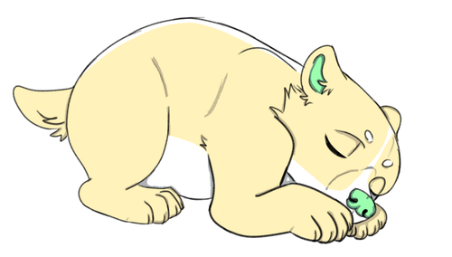 IMG 0131.png