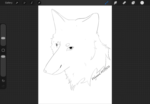 IMG 0511.png