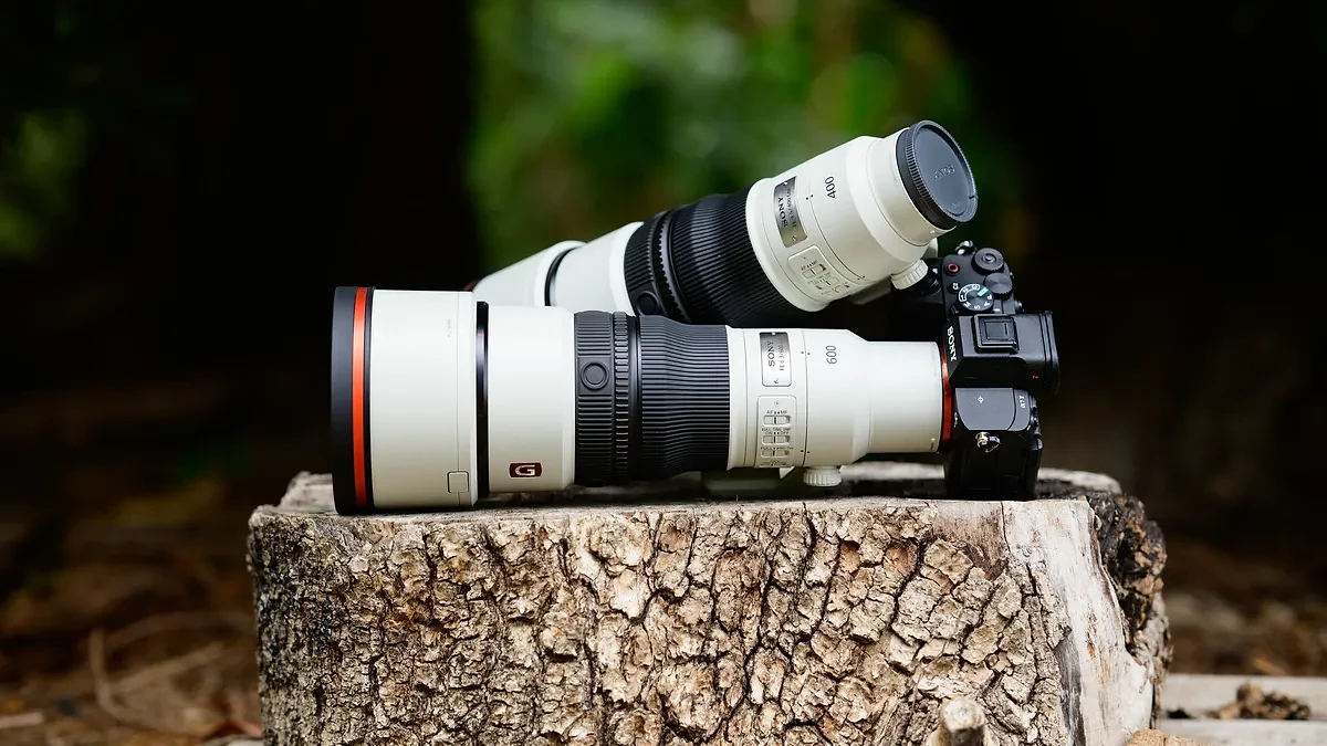 Sony FE 400mm F4.5 GM OSS and Sony FE 600mm F6.3 GM OSS super-telephoto lenses on a tree stump, with the 600mm attached to a Sony A7R V camera