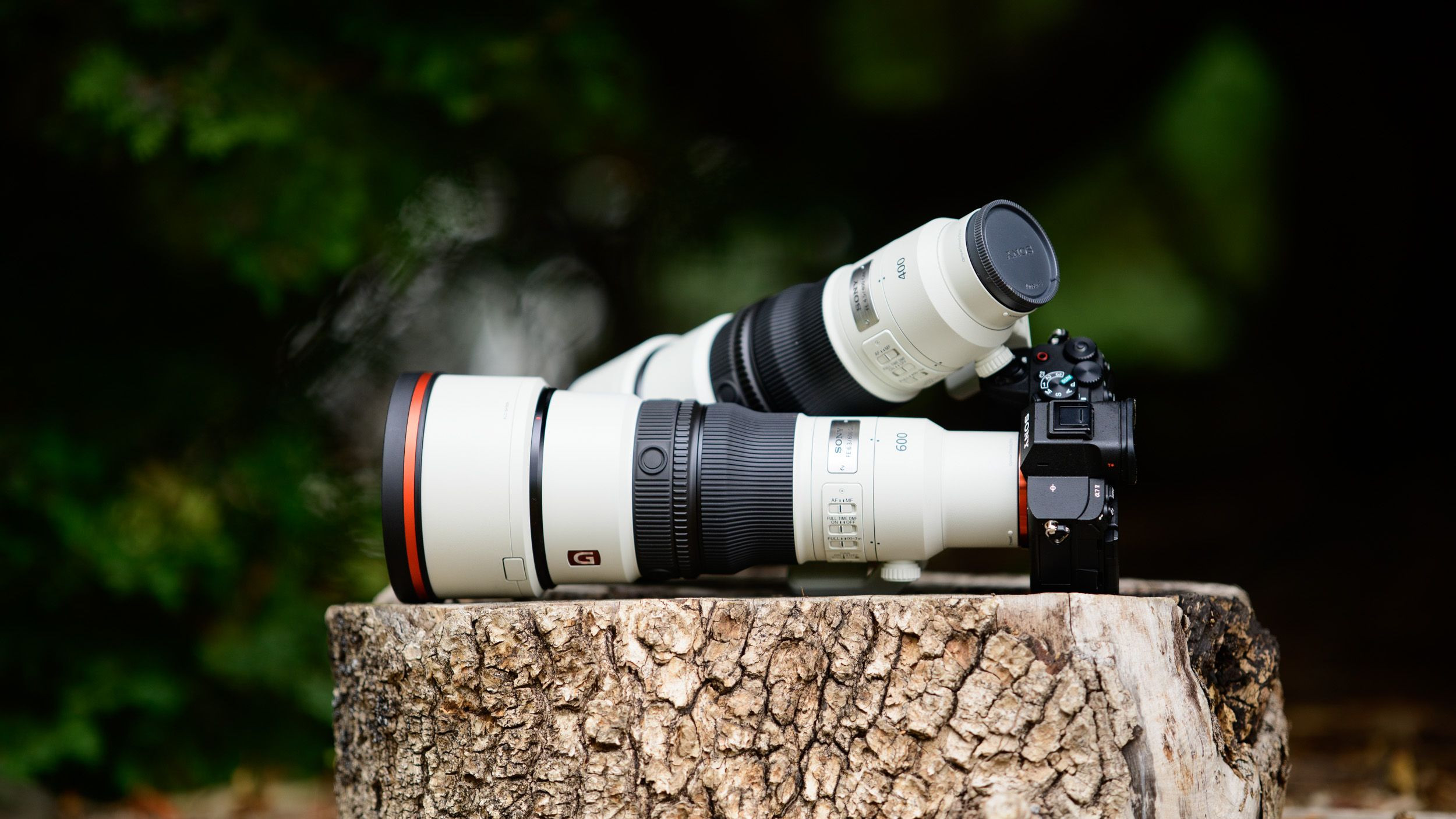 Sony 400mm & 600mm: Prime Siêu Tele Nhẹ Cho Nhiếp Ảnh Hoang Dã
