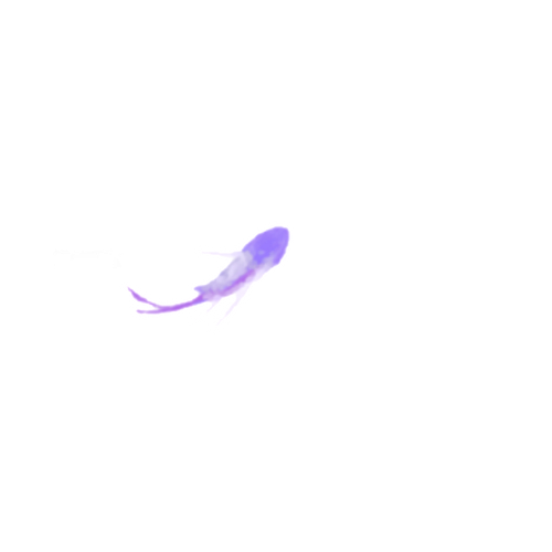 微信图片 20260917232020 403 164.png