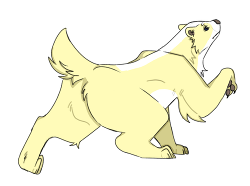 IMG 0047.png