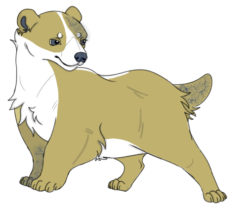 IMG 0048.png