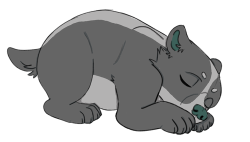 IMG 0049.png