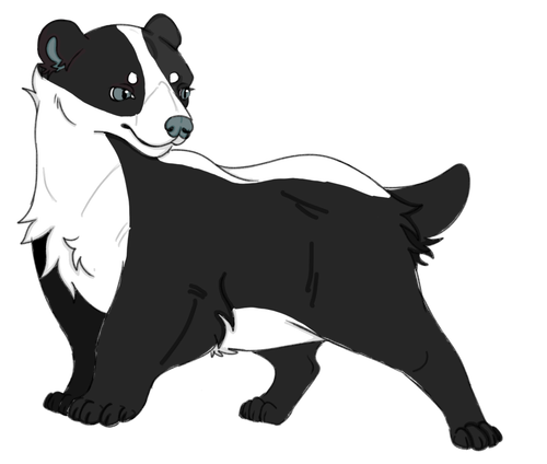 IMG 0046.png