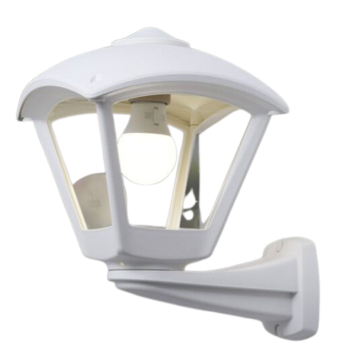 1785504820339 lzlu3dw9xms.png