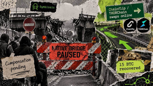 symbiosis bridge detour.jpg