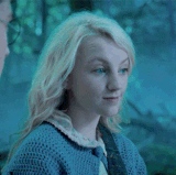 1000058800.gif