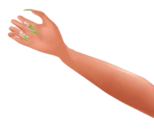 inbound2924307391844625265.png