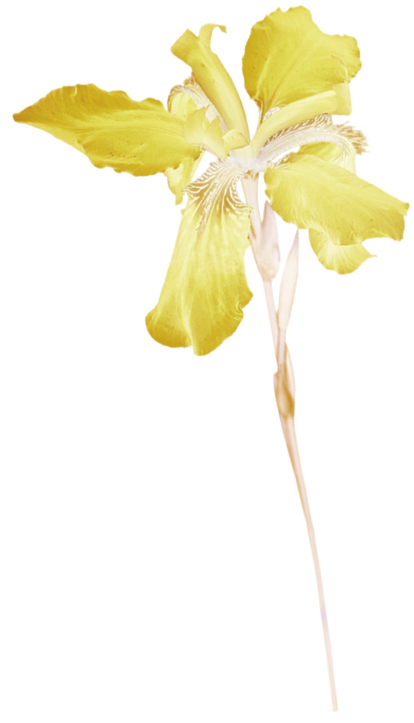 1000120710.png