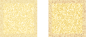 1000120699.png