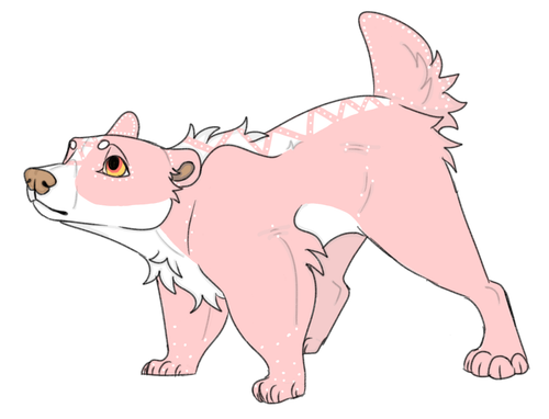 IMG 0064.png