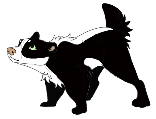 IMG 0063.png