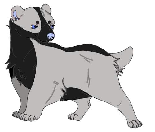 IMG 0062.png