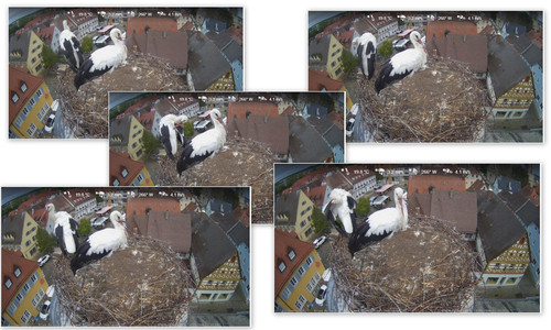 Bilder.jpg