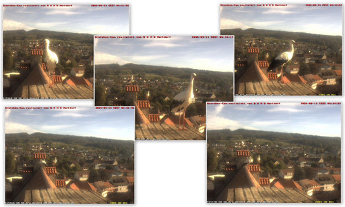 Bilder3.jpg