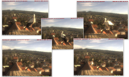 Bilder2.jpg