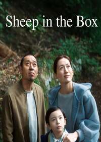 sheep in the box poster (1).jpg