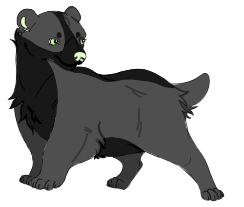 IMG 0055.png