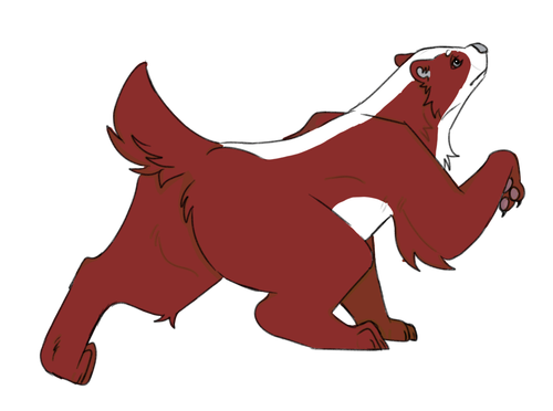 IMG 0060.png