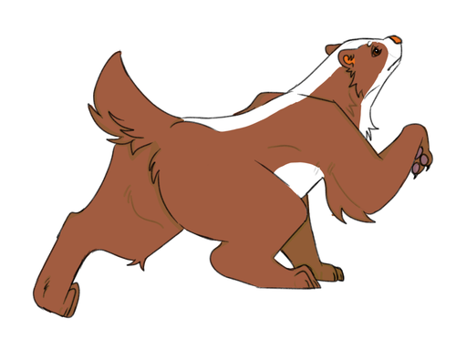 IMG 0059.png