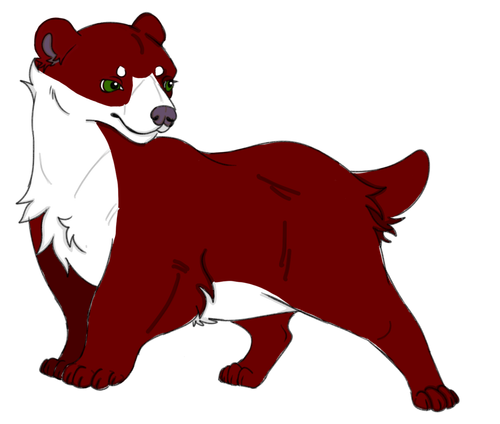 IMG 0058.png
