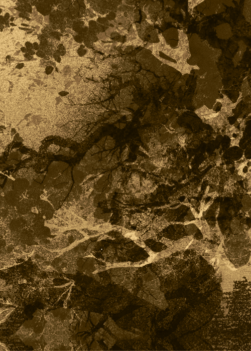 1000120763.png