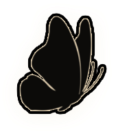 1000120770.png
