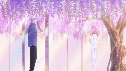 Yubisaki 1x12