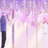 Yubisaki 1x12
