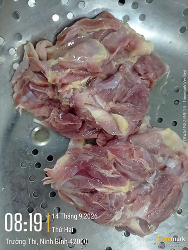 2aOboQyUIN9dDN1DlvvSlQ4ND4jJ9bgbTnTfLGmO.jpg