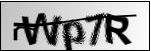 captcha only.png