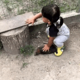 436436.gif