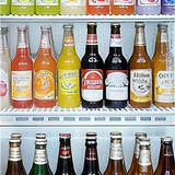 fridge 01