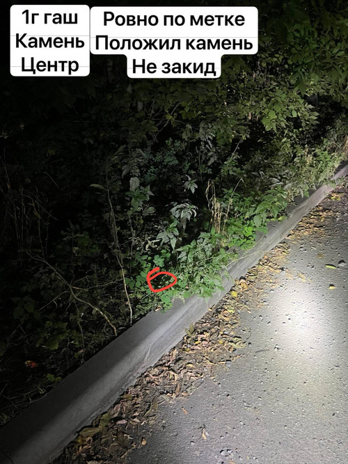6aa74e1a750ac.jpg