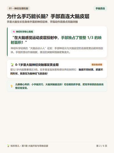 14 P2 手脑发育 手部神经与脑连接秘密.png