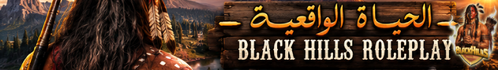 bar2.png