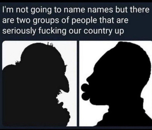 jewish groid niggers big lips criminal.jpg