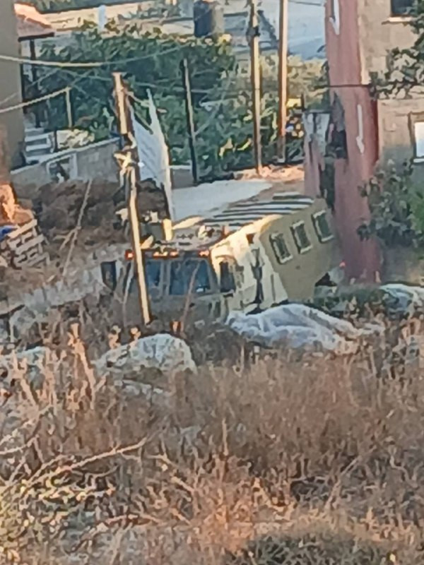 صورة الخبر