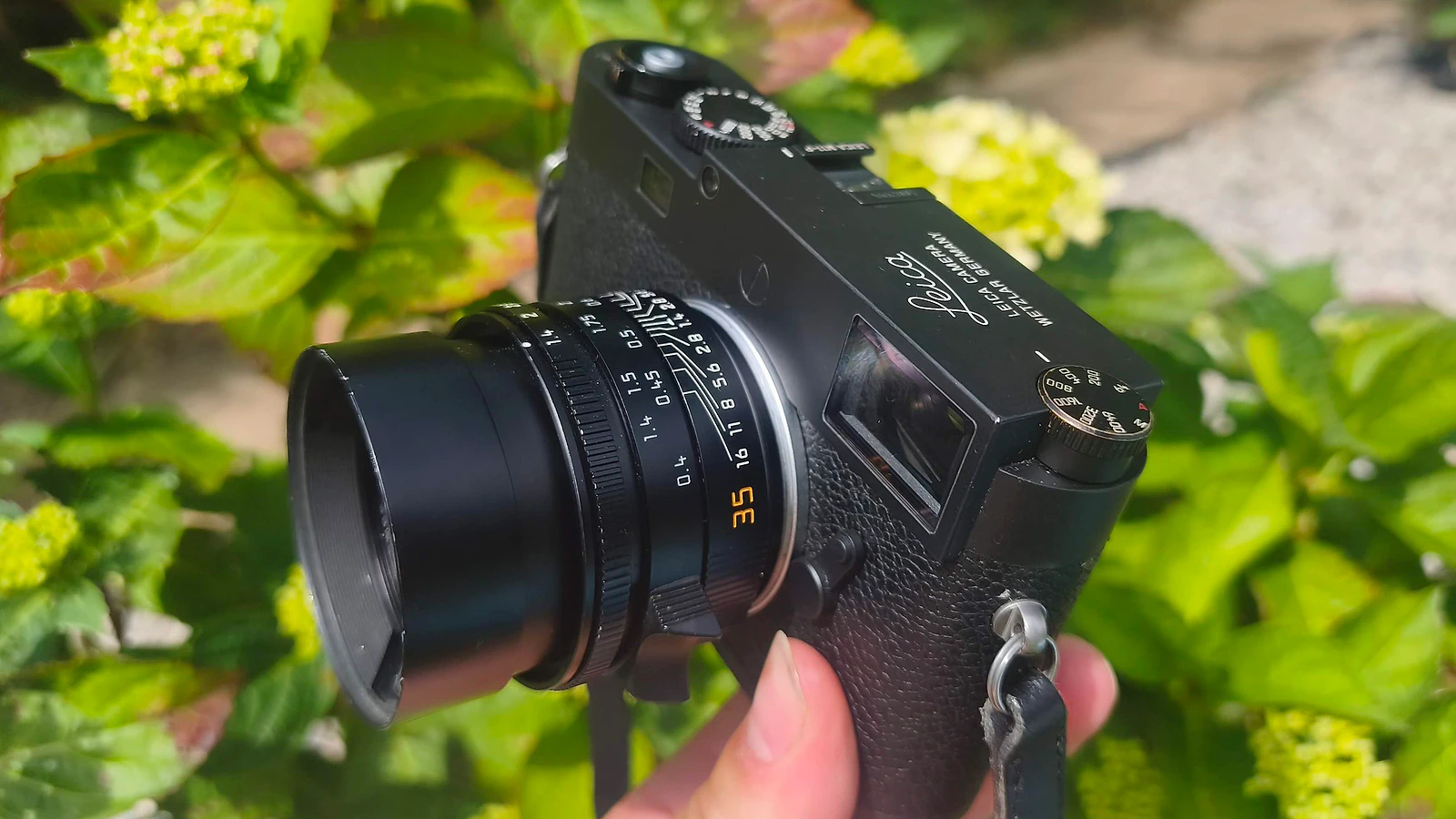 Leica 35mm Summilux: Lý Do Tôi Không Thể Rời Xa Lens Này - Hình 1